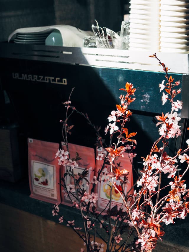 La Marzocco Linea espresso machine in the Dogpatch shop.